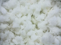 Shredded Regular Polyurethane Foam – QQbed